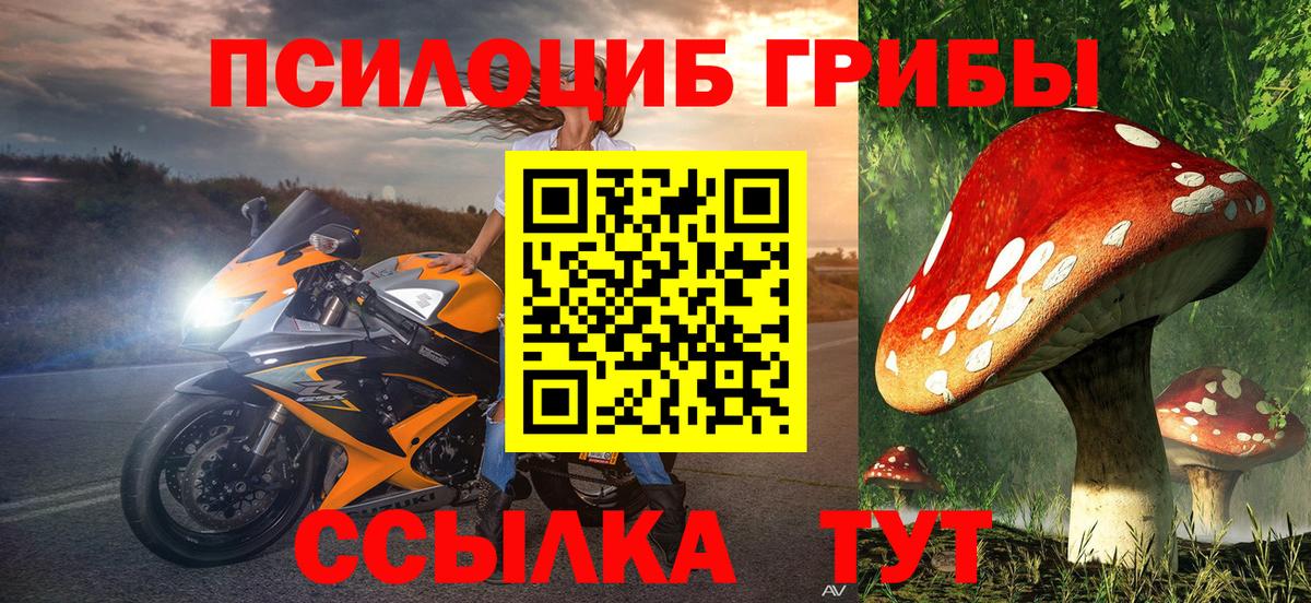 Псилоцибиновые грибы Psilocybe  Вход с VPN  Рубцовск 