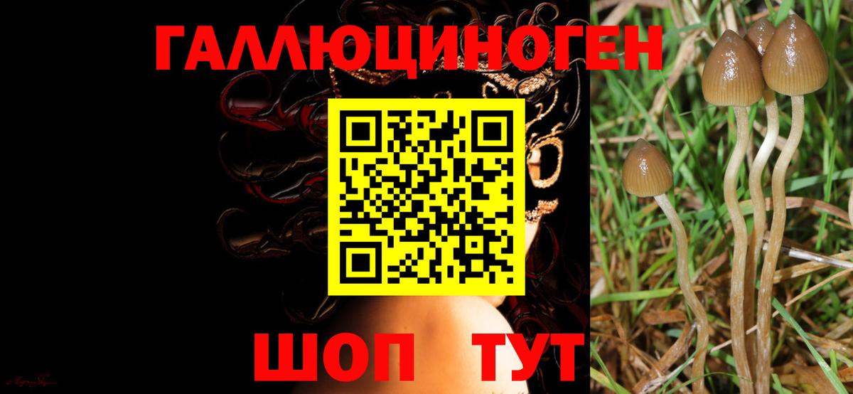 Галлюциногенные грибы Magic Shrooms Рубцовск